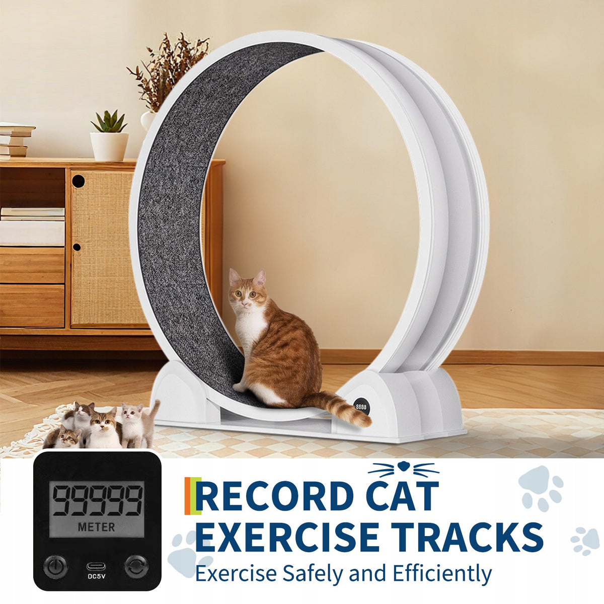 Cat Exercise Wheel, Smart Pedometer, Removable Carpeted Catwalk, White Manufacturer code zhizaoshang