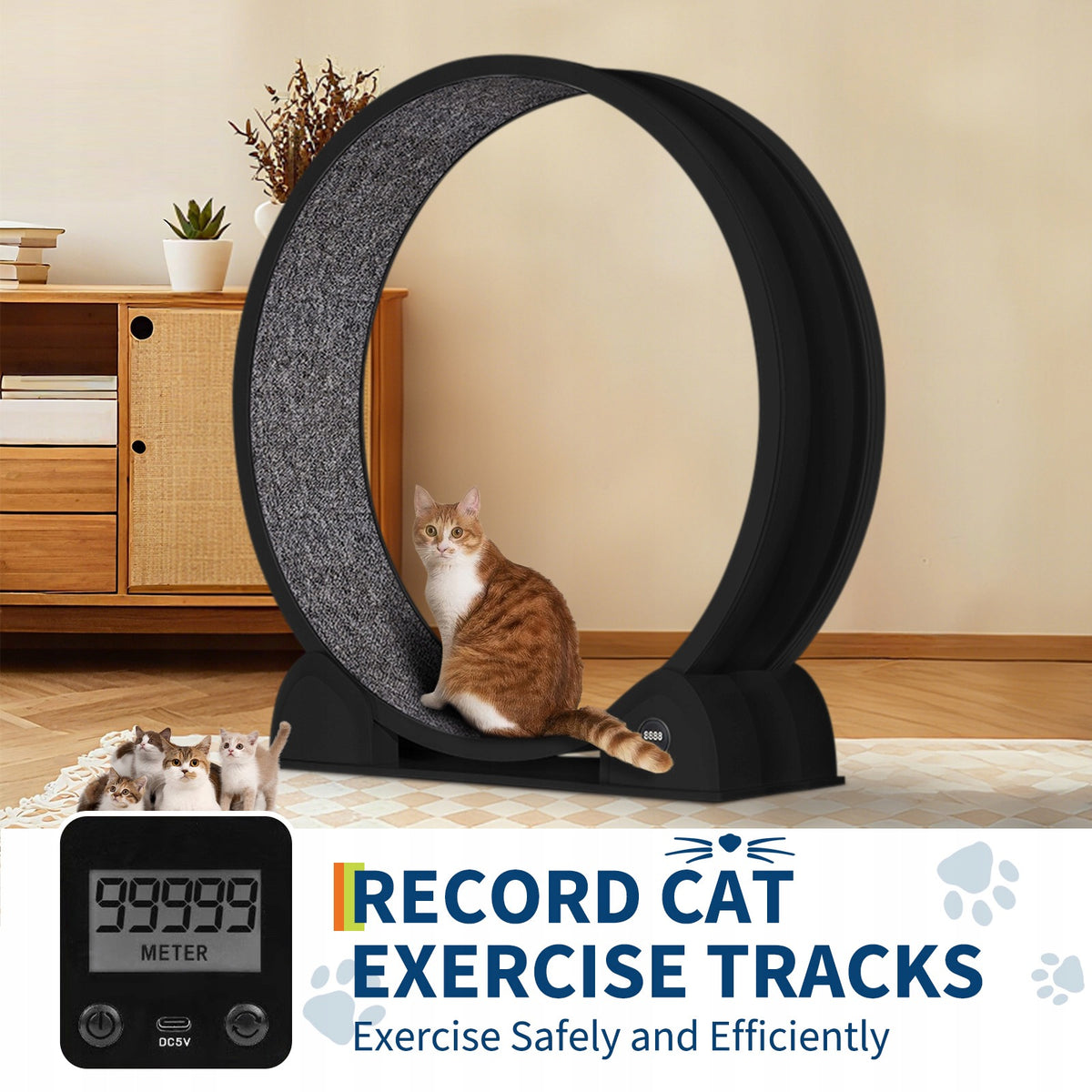 Cat Exercise Wheel with Pedometer, Quiet, 114cm, Black Manufacturer code JOLLYTOP