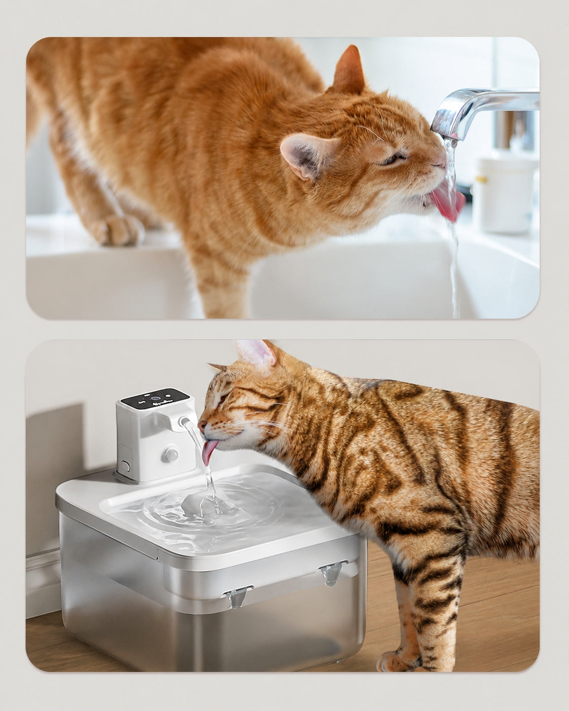 Cat Fountain DownyPaws 2,5L Wireless with Motion Sensor Brand no brand