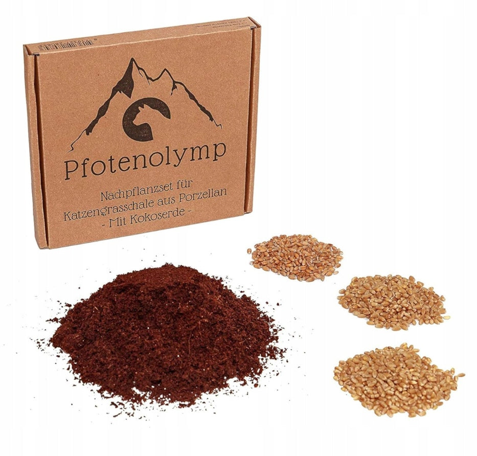 Cat Grass DIY Grass Sowing Kit