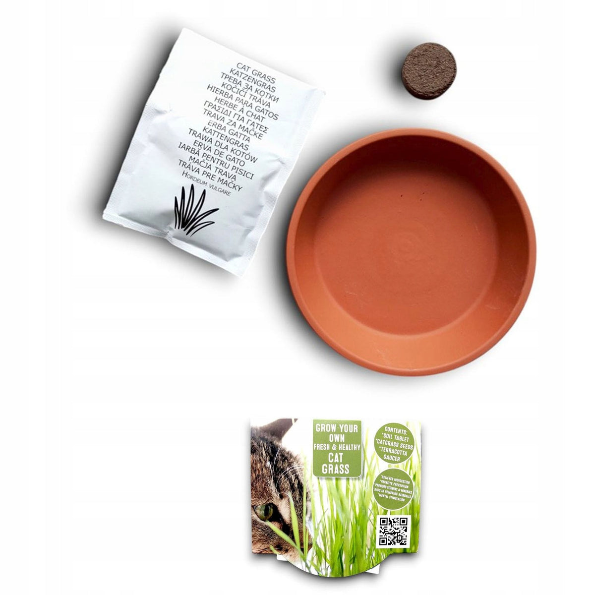 Cat Grass Seeds Terracotta Pot Earth Bio 15g Growing Set