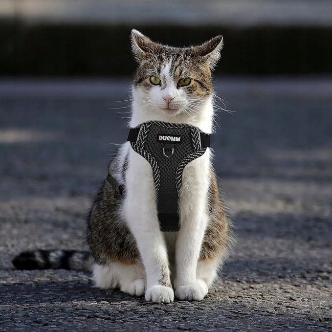 Cat Harness, Cat Collar, Rabbit, Puppy EAN (GTIN) 749355219056