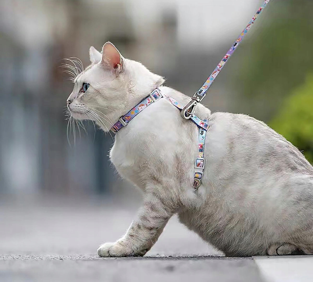 Cat Harness - Red Manufacturer code JK02
