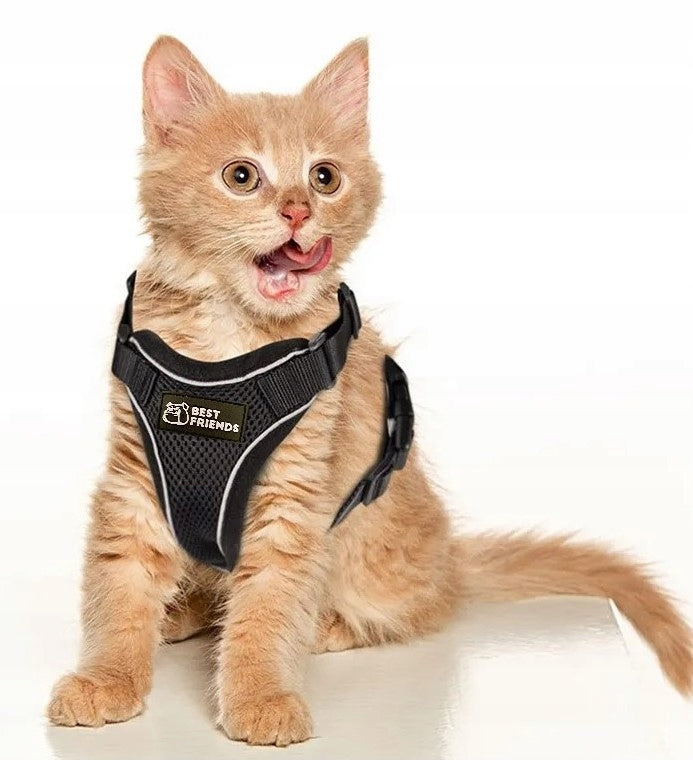 Cat Harness, Soft, Pressure-Free, Adjustable, Maine Coon, Size S Packaging status original