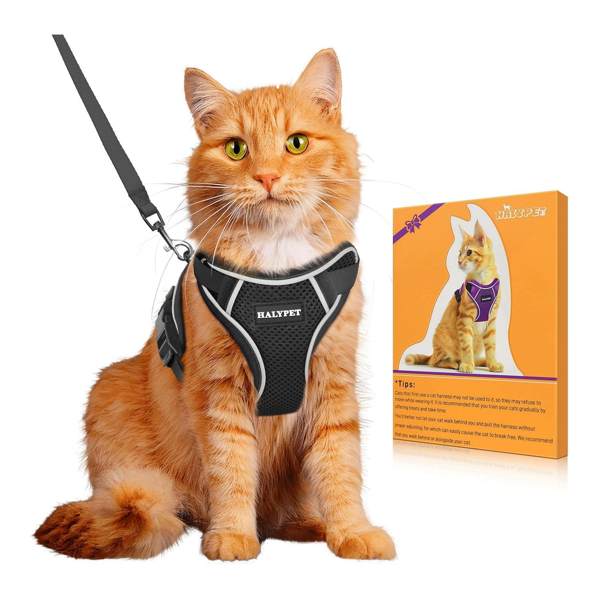 Cat Harness with Anti-Escape Lanyard Adjustable Breathable for Kitten