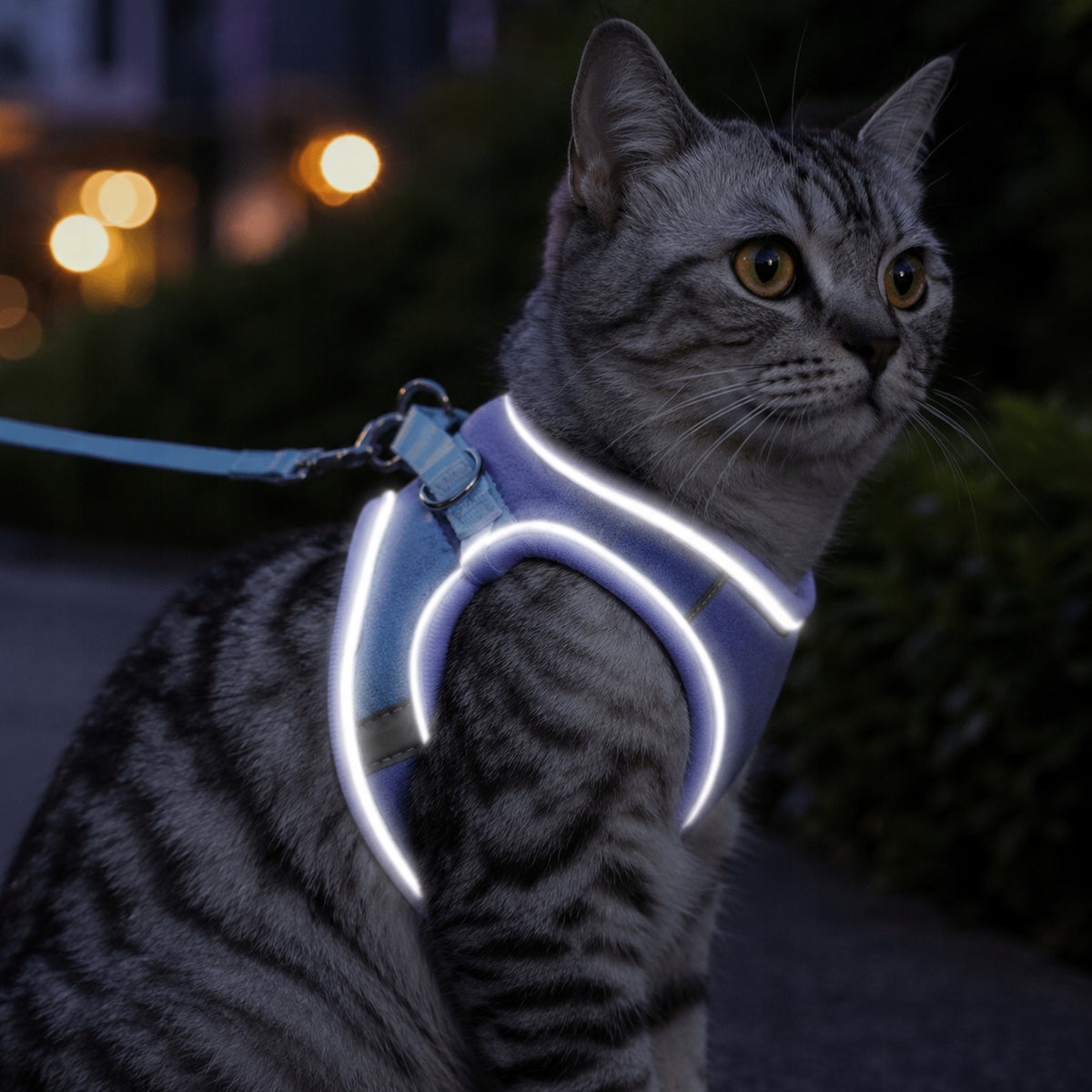 Cat Harness with Lanyard Blue Lavender Size S Reflective Soft Packaging status original