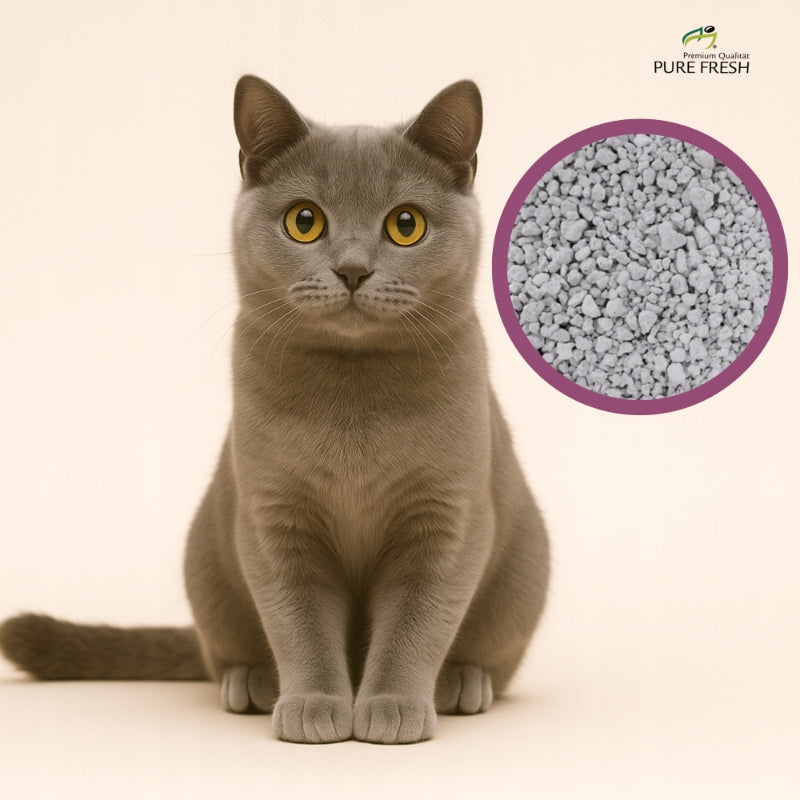 Cat Litter Bentonite Clumping 18L Compact Unscented 3x6L Volume 6 l