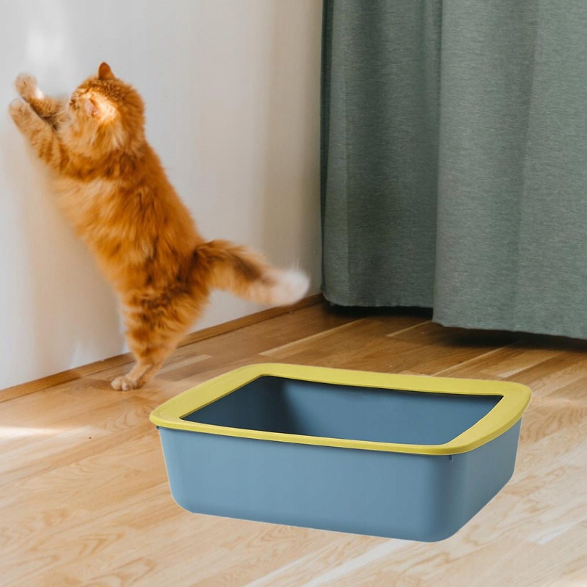 Cat Litter Box, Cat Sandbox, Kitten Litter Box, Splash proof Blue Yellow