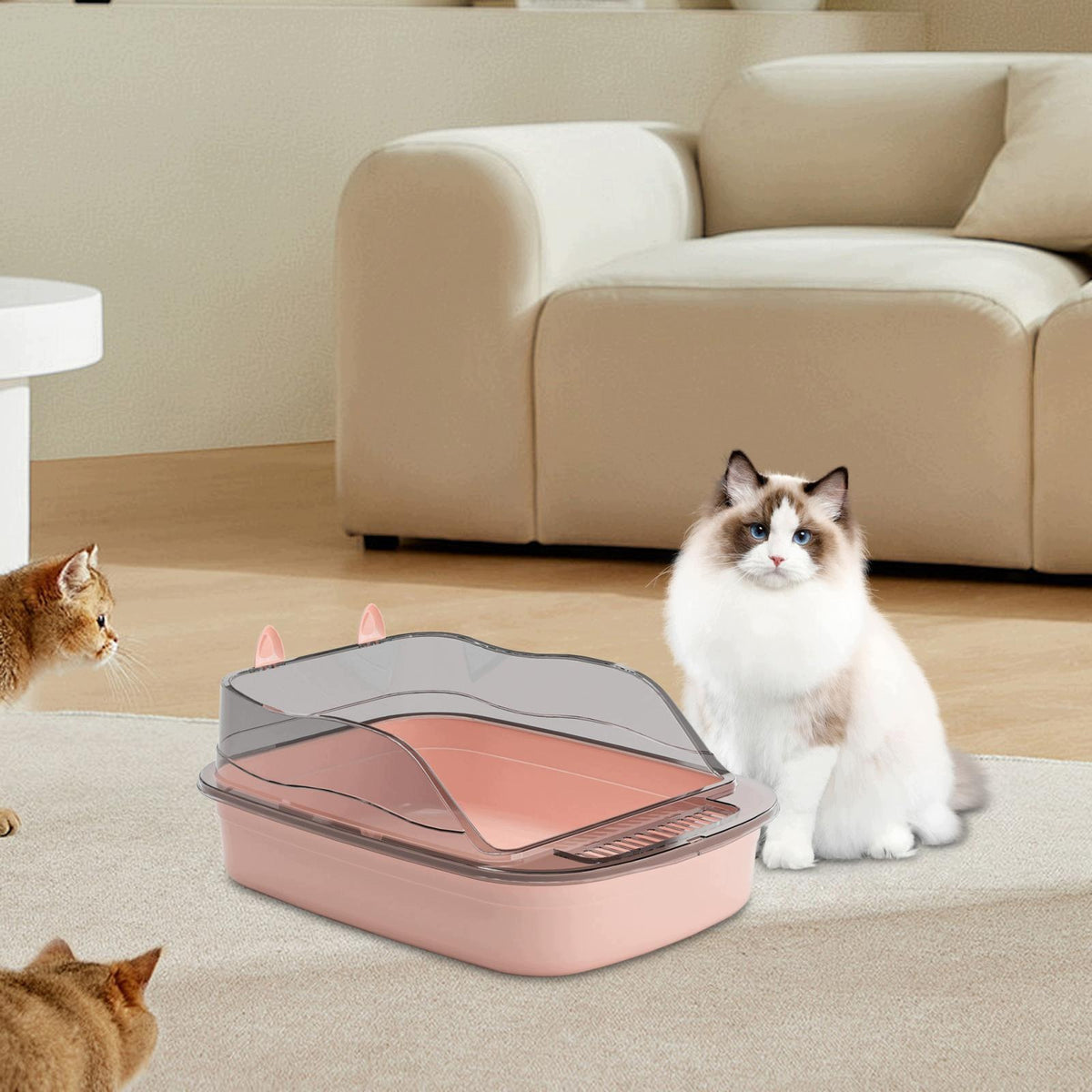 Cat Litter Box, Kitten Toilet, Pet Toilet, Rabbit Toilet with A pink