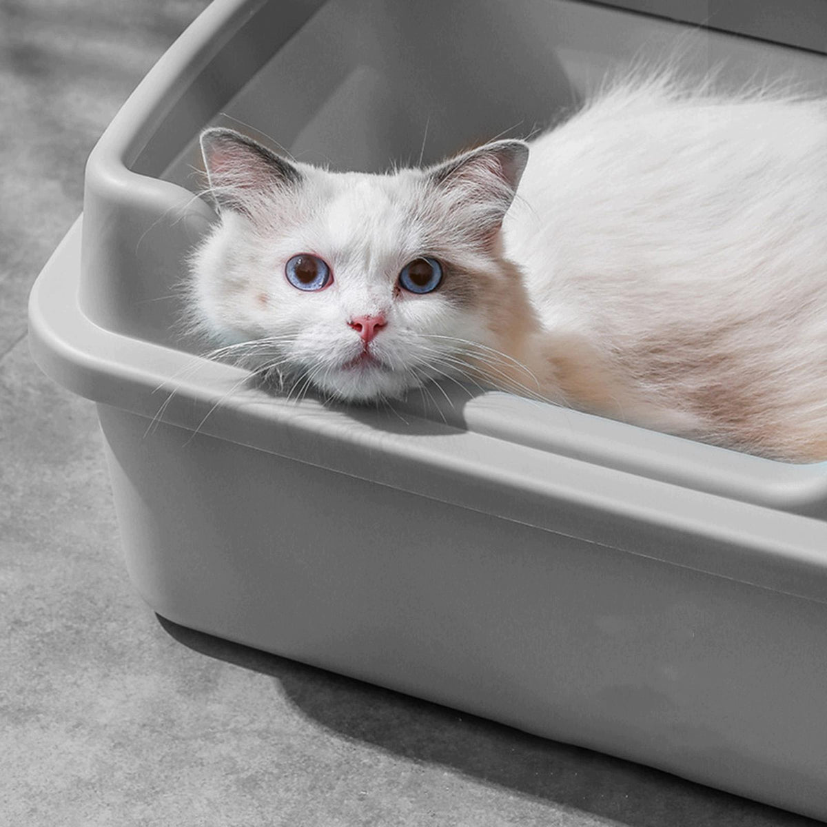 Cat Litter Box Removable Open Top Cat Litter Box for Gray M 38x29x18.5cm Packaging status original