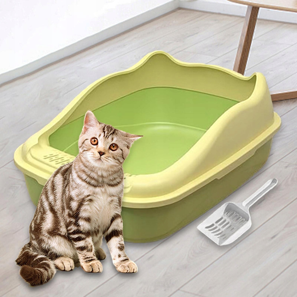 Cat Litter Box, Semi Enclosed, with Scoop, Multifunctional, for Small Green