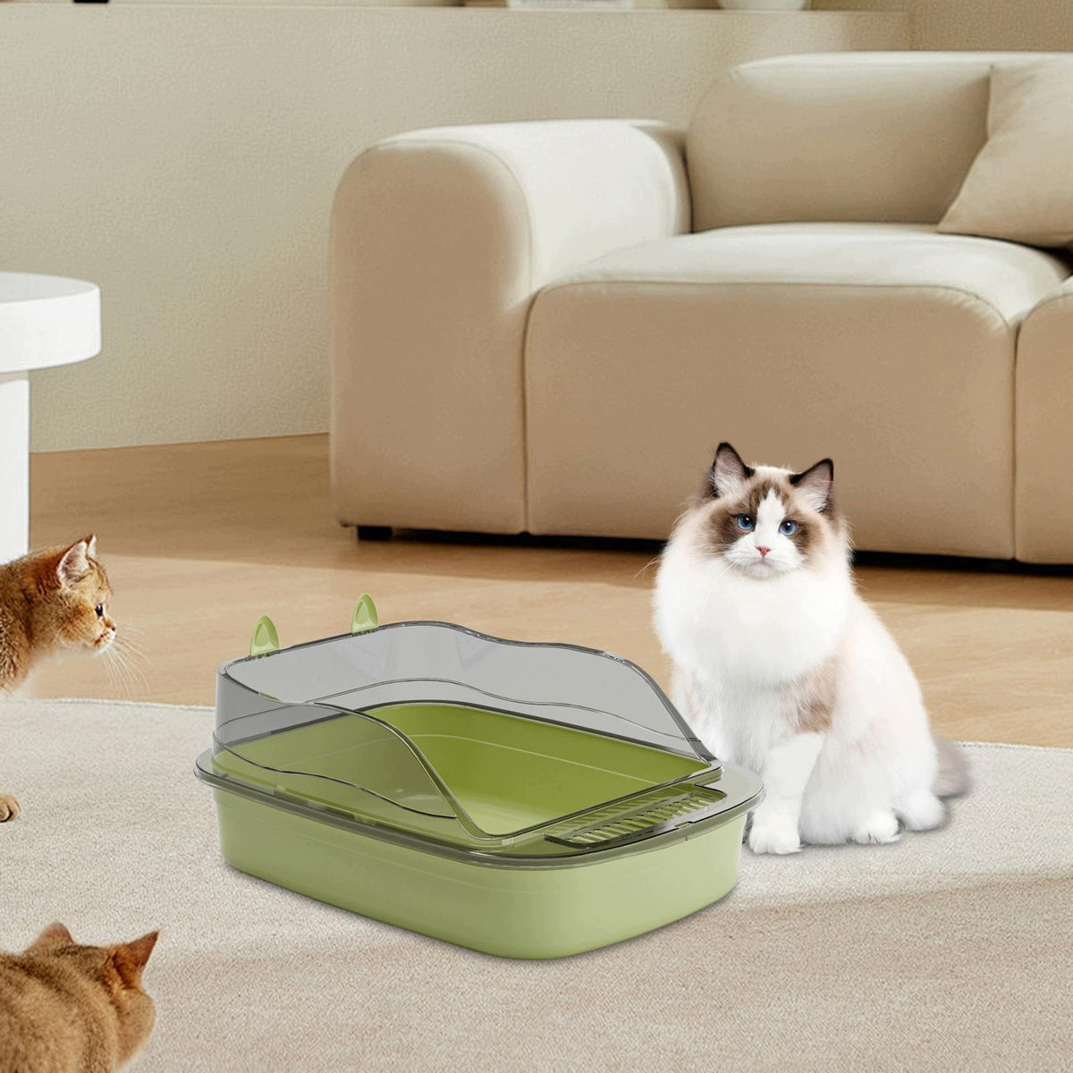 Cat Litter Box, Sturdy Plastic, Open Top with Frame, High Protection green