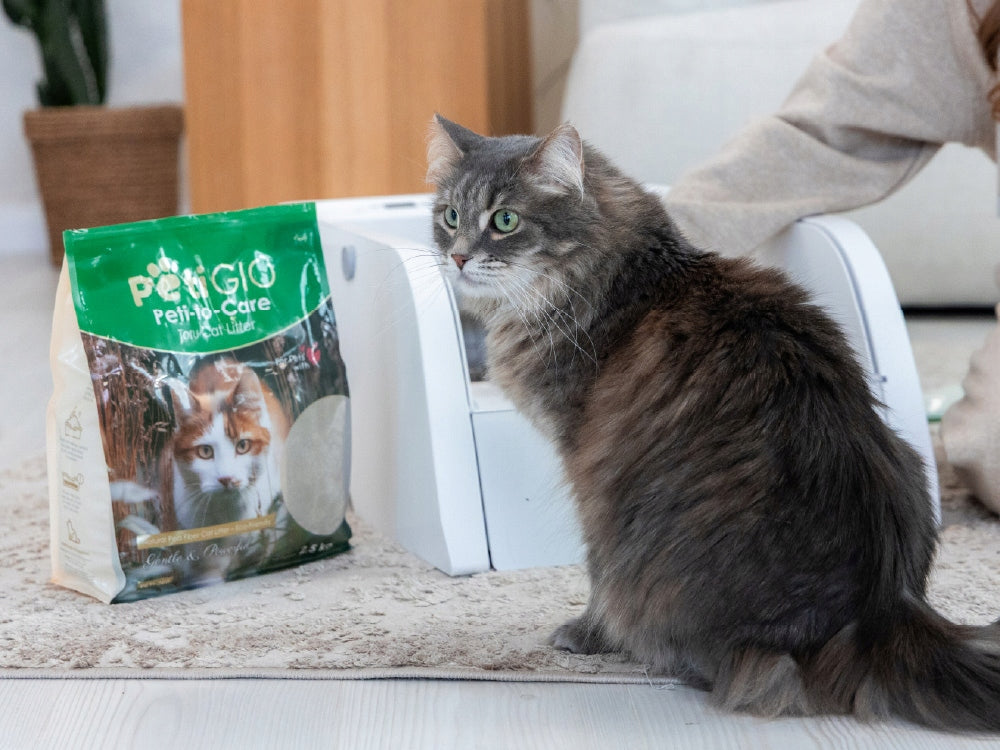 Cat Litter Tofu Natural Clumping Fine Biodegradable Manufacturer code PETI-260