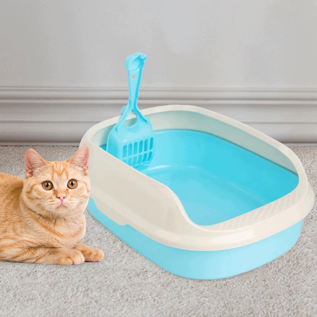 Cat Litter Tray Open Top Litter Box High Sides Litter Pan Removable Blue