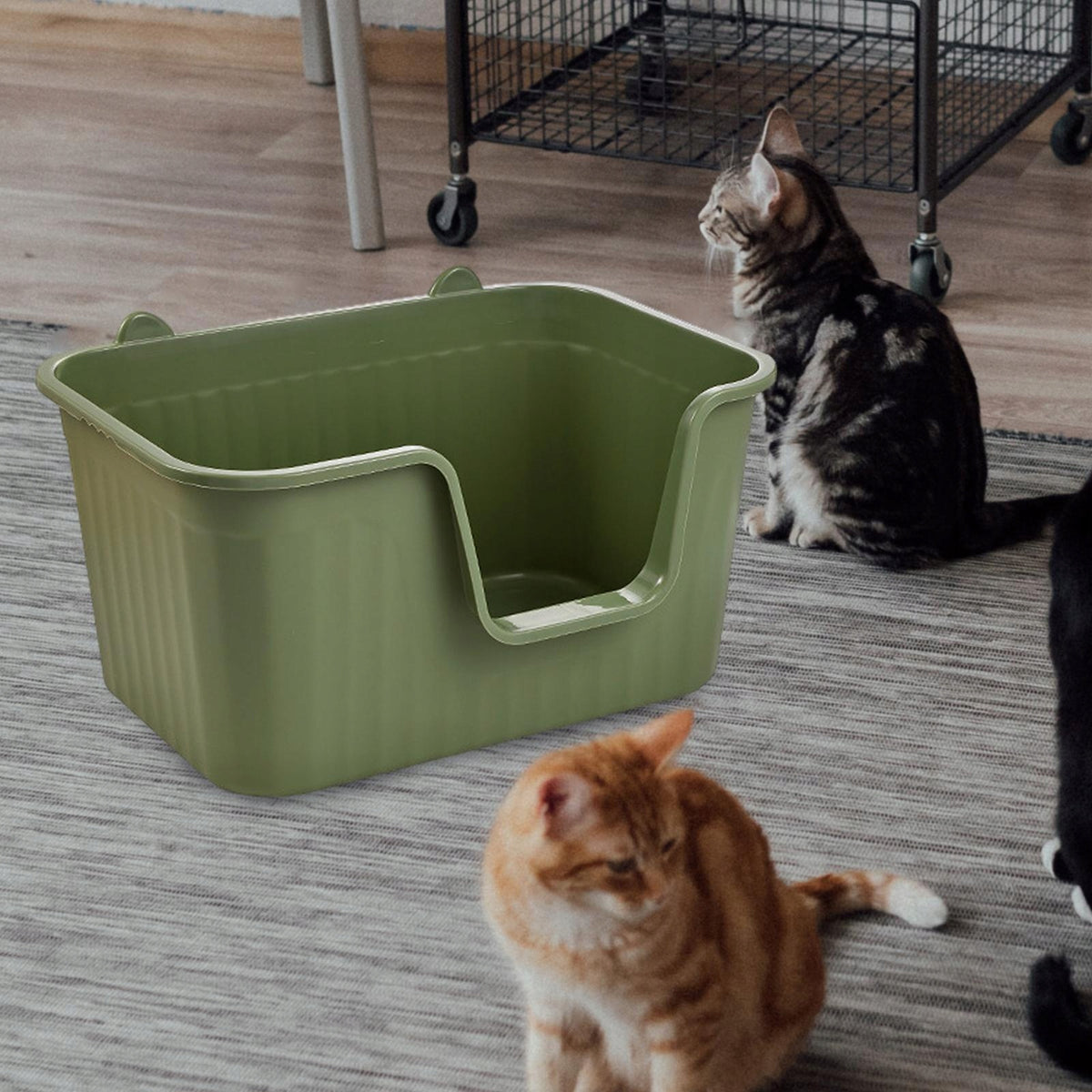 Cat Litter Tray Open Top Pet Litter Basin with High Sides PP Green Large