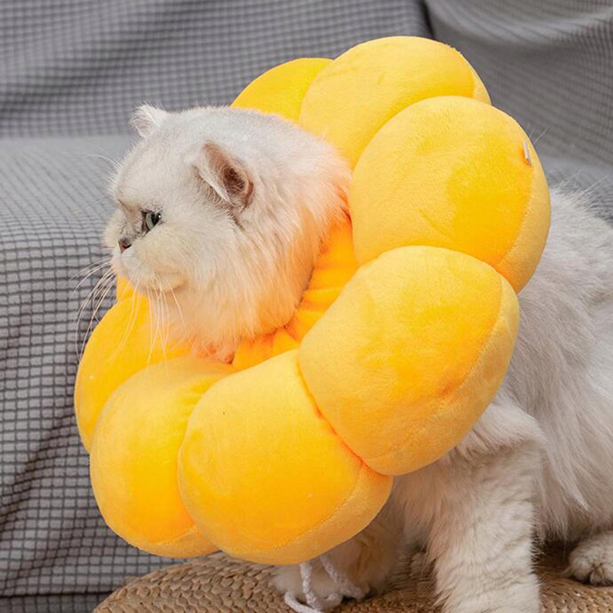 Cat Neck Cover, Dog Recovery Neck Cover, Cat Neck Circle Prevent Yellow L