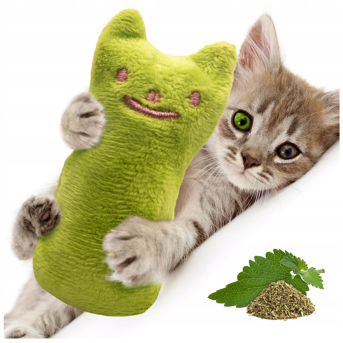 Cat Plush Toy Green Catnip BEAR INTERACTIVE CUDDLY