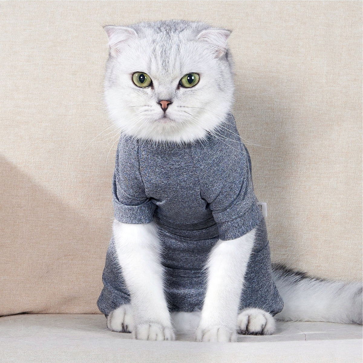 Cat Recovery Suit 4 Legs Prevents Hair Loss High FC