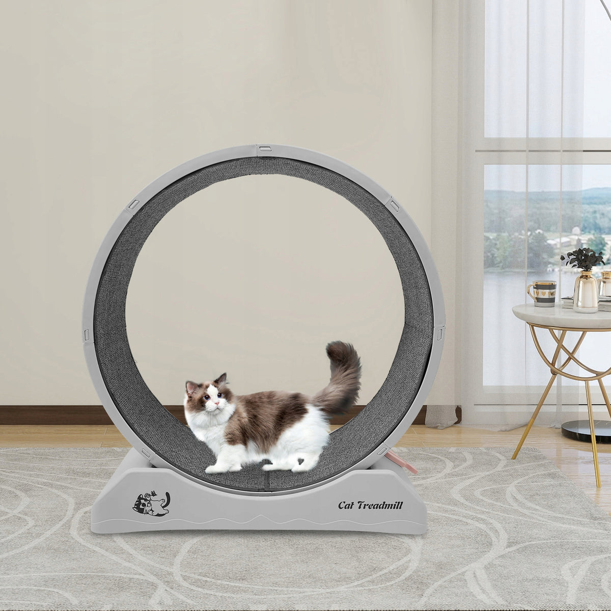 Cat Running Wheel, Indoor Treadmill Silent Play Toy Manufacturer code dsrtetry