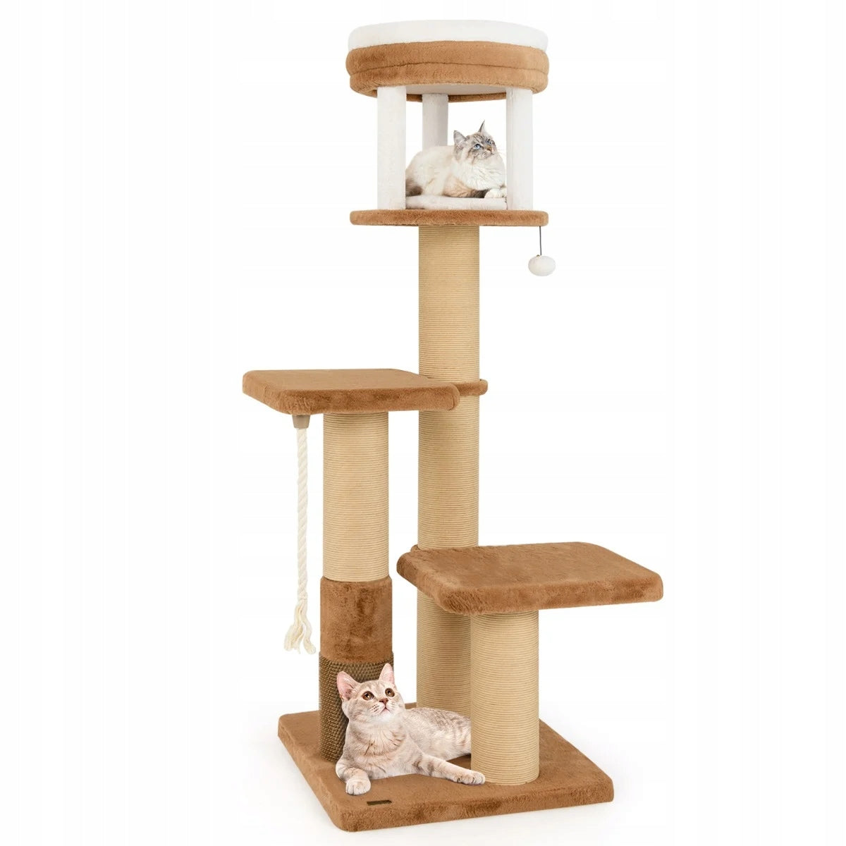 Cat Scratcher Bed with Padded Seat