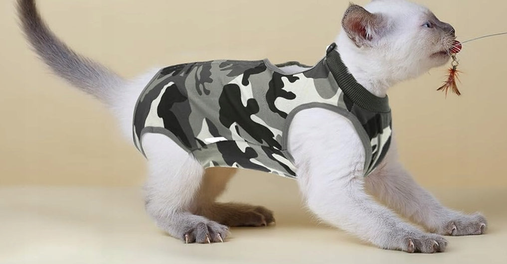 Cat Suit Protective After Operation Moro Brand no brand