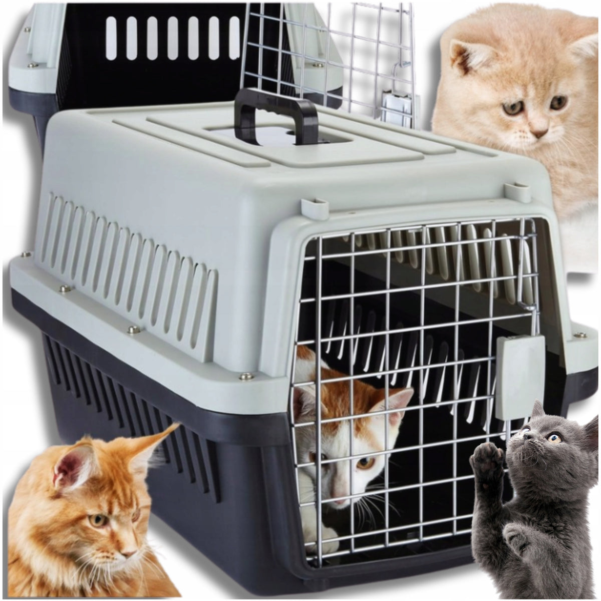Cat Transporter Rabbit Animal Dog Cage Playpen For Car Large