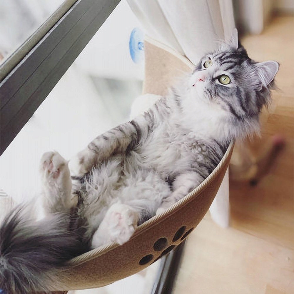 Cat Window Perch Cat Hammock Seat by Window Cat Bed Manufacturer code kh98597474