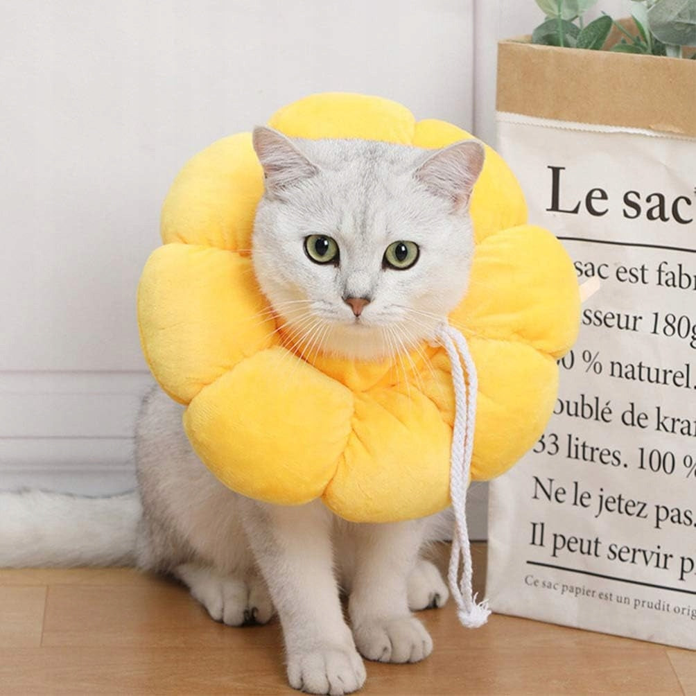 Cat adjustable sunflower cat sto?ek obr? Packaging status original