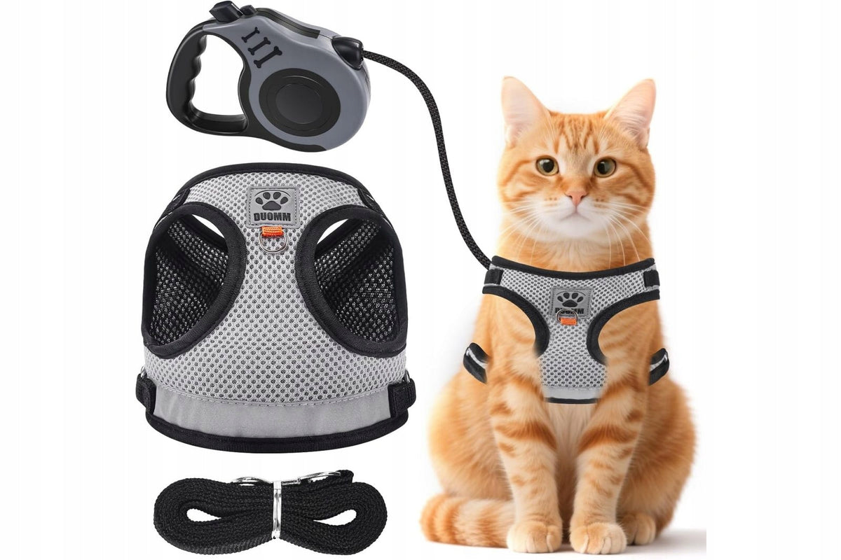 Cat and dog harness M soft with leash 5m