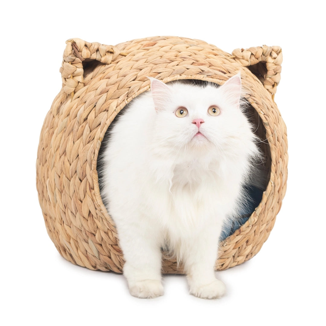 Cat bed basket braided 43x39x40 cm water hyacinth with bedding Kind cat house