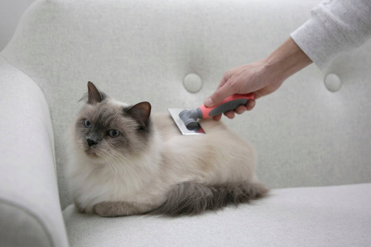 Cat brush with soft delicate teeth, with comb included, Brand Kerbl