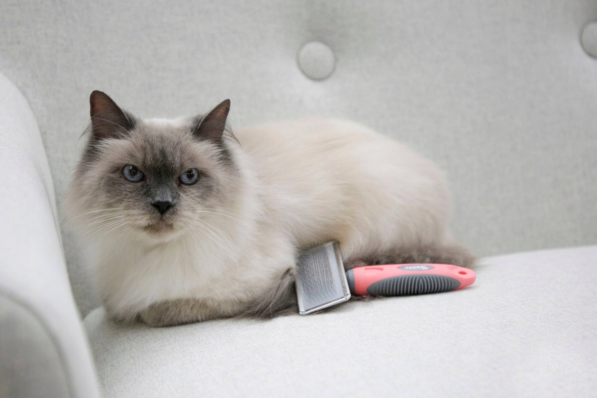 Cat brush with soft delicate teeth, with comb included, Manufacturer code 80848