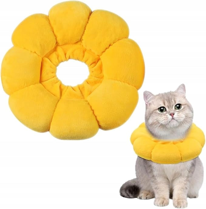 Cat collar yellow flower sunflower puffed