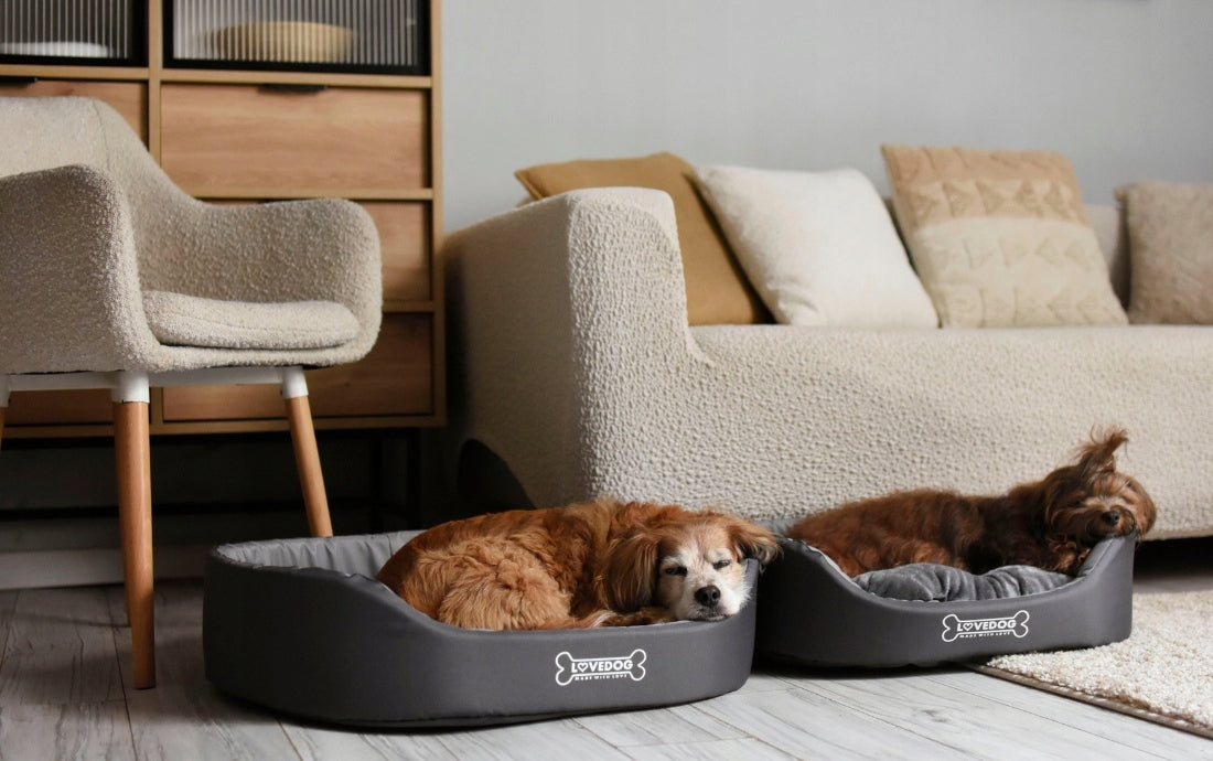 Cat dog bed ANTI-ALLERGIC bedding couch playpen Lovedog M 60x50 Length 60 cm