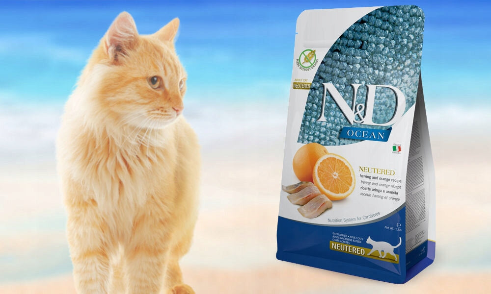 Cat food FARMINA N&D Neutered Herring and Orange Adult 1.5 kg Brand Farmina
