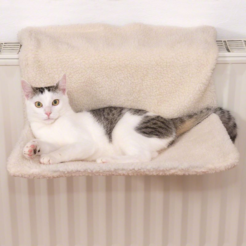 Cat hammock bed white rectangular 30 cm x 50 cm x 20 cm Brand Zooplus