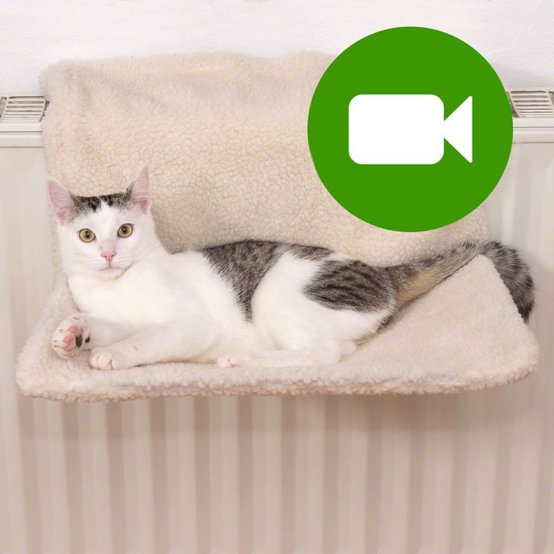 Cat hammock bed white rectangular 30 cm x 50 cm x 20 cm Kind bed