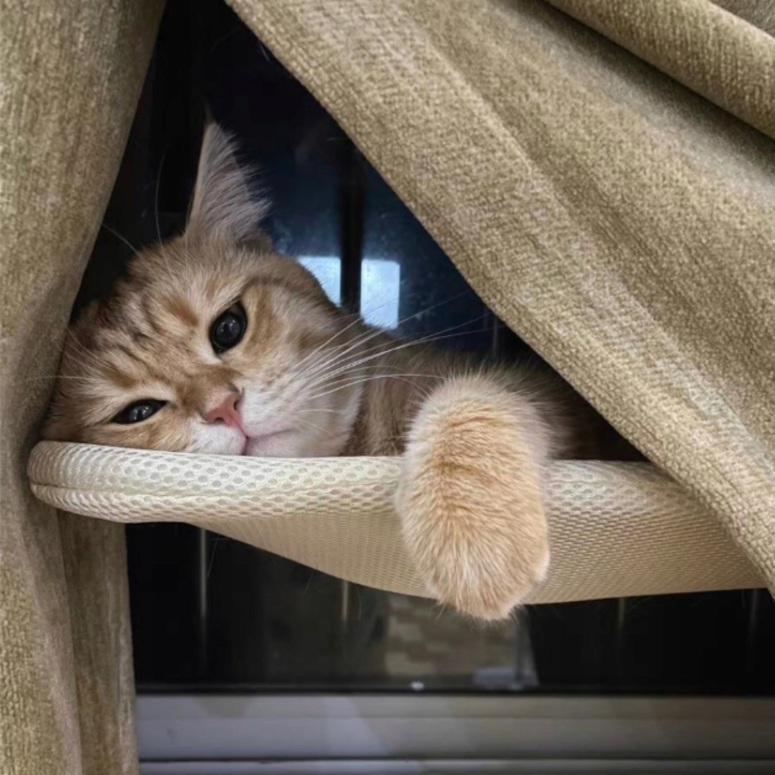 Cat hammock for the window – 45×30 bed, ideal for observing the environment! Brand SIEMIEC