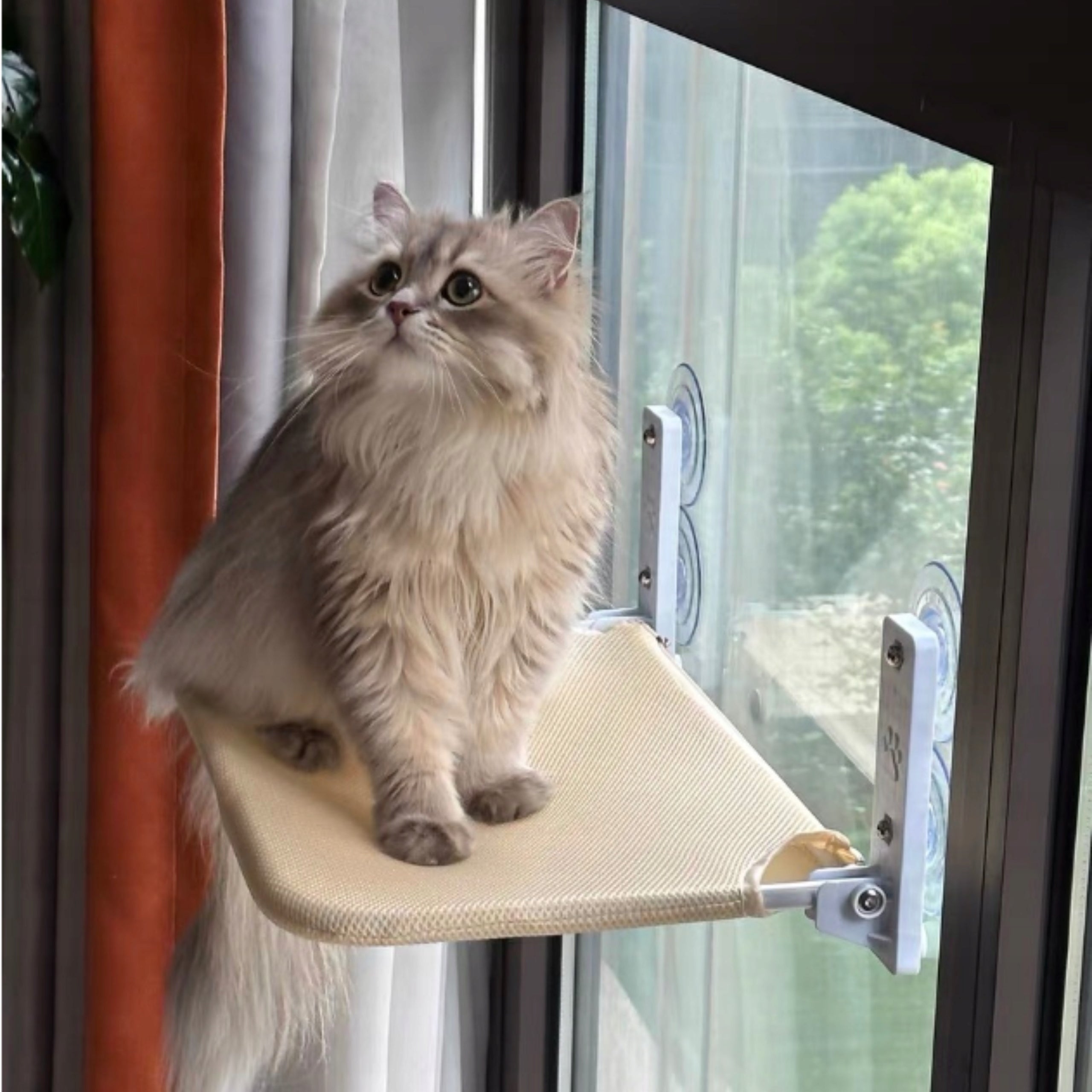 Cat hammock for the window – 45×30 bed, ideal for observing the environment! Manufacturer code 5906884046422