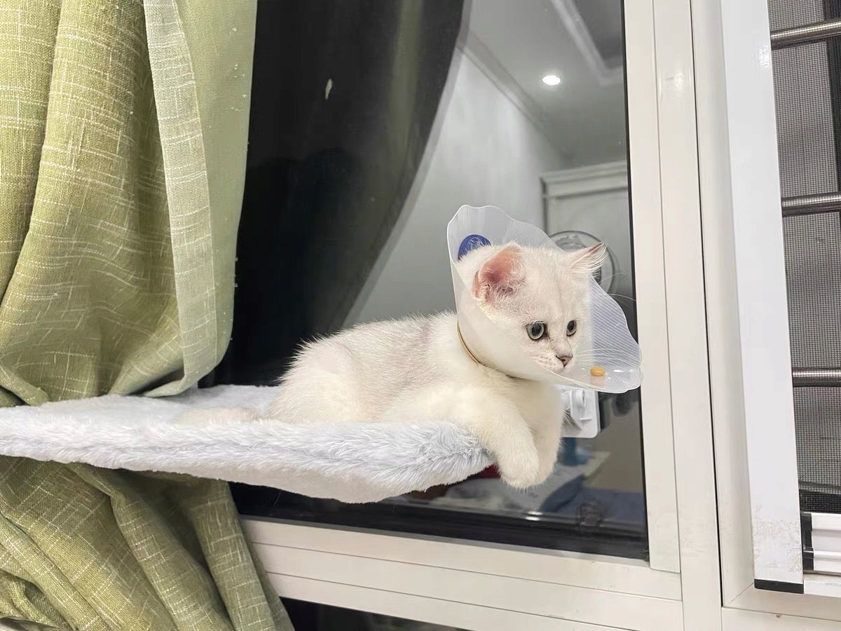 Cat hammock for the window – bed 45×30, FOR EVERY PURR! SIEMIEC Length 30 cm