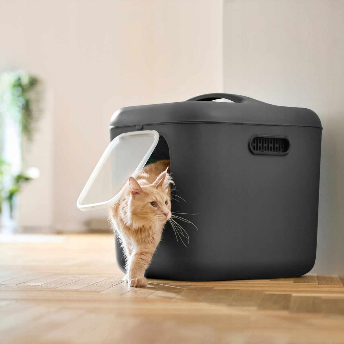 Cat litter box Rotho White XL - black Manufacturer code 4006608853WS
