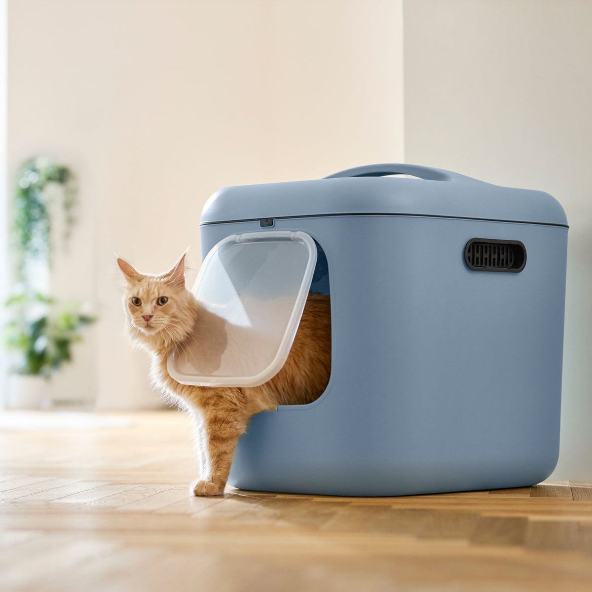 Cat litter box Rotho White XL - horizon blue Brand Rotho