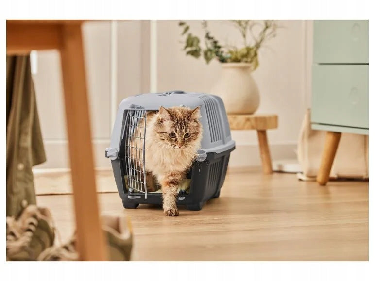 Cat litter box or zoofari transport container Packaging status original