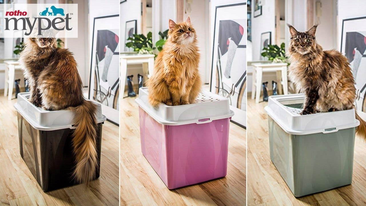 Cat litter box with top entrance Rotho BERTY Kind closed litter box