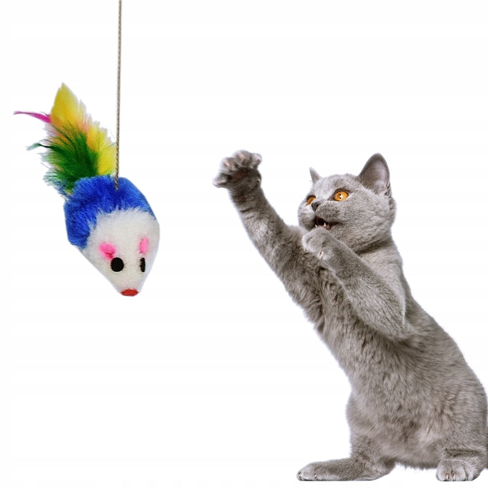 Cat mouse Makspol TOY on string ADDITION to Scratcher