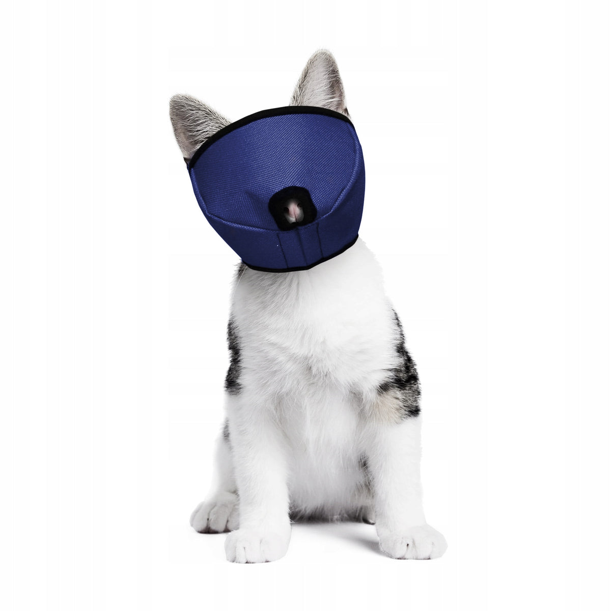 Cat muzzle size S