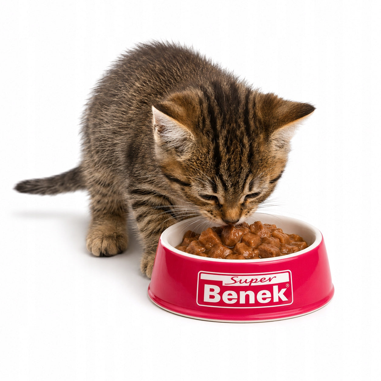 Cat sachet Benek Junior Turkey 100g Product weight 0.1 kg