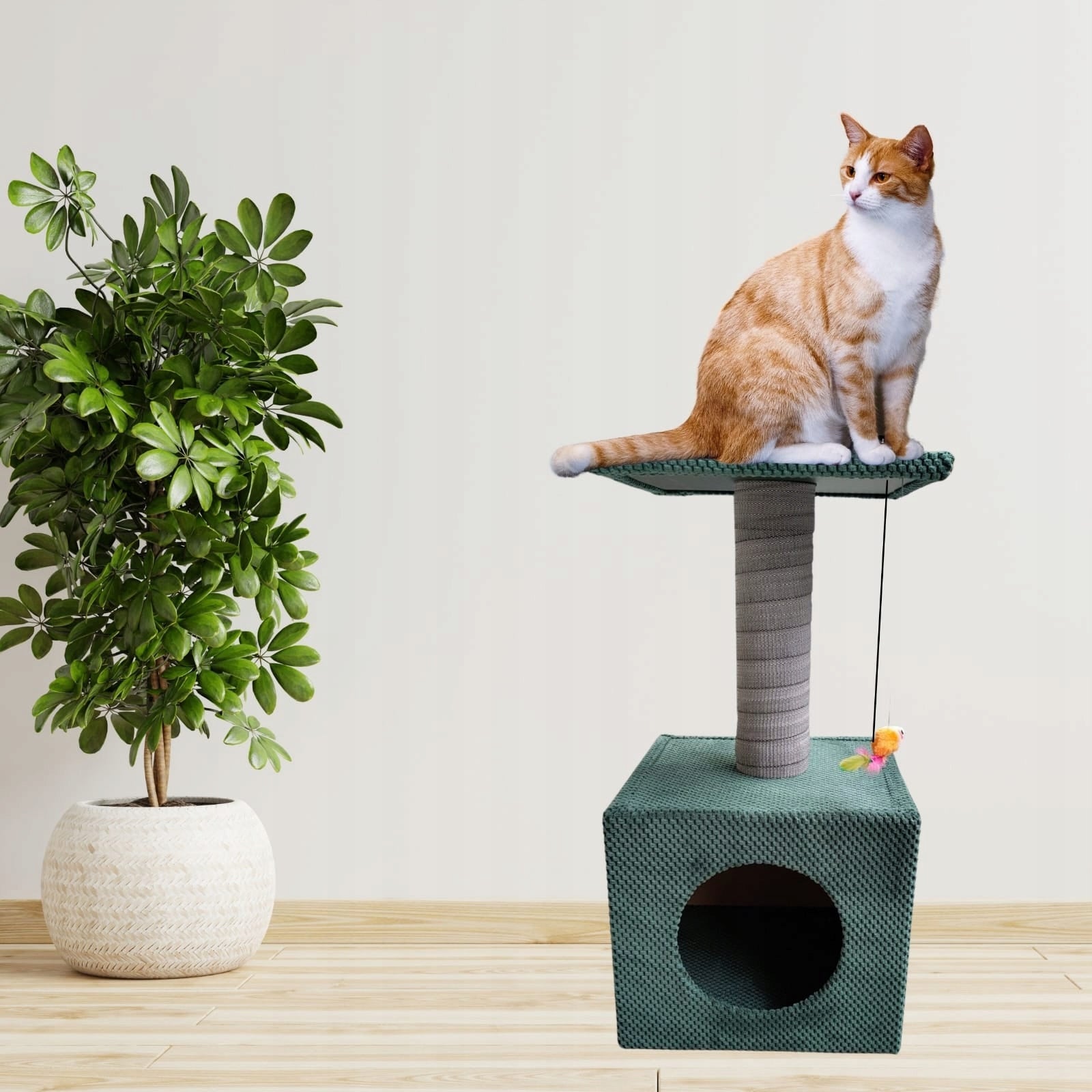 Cat scratcher MAKSPOL Cube house post ! Green Bottle green Manufacturer code 5903816673596