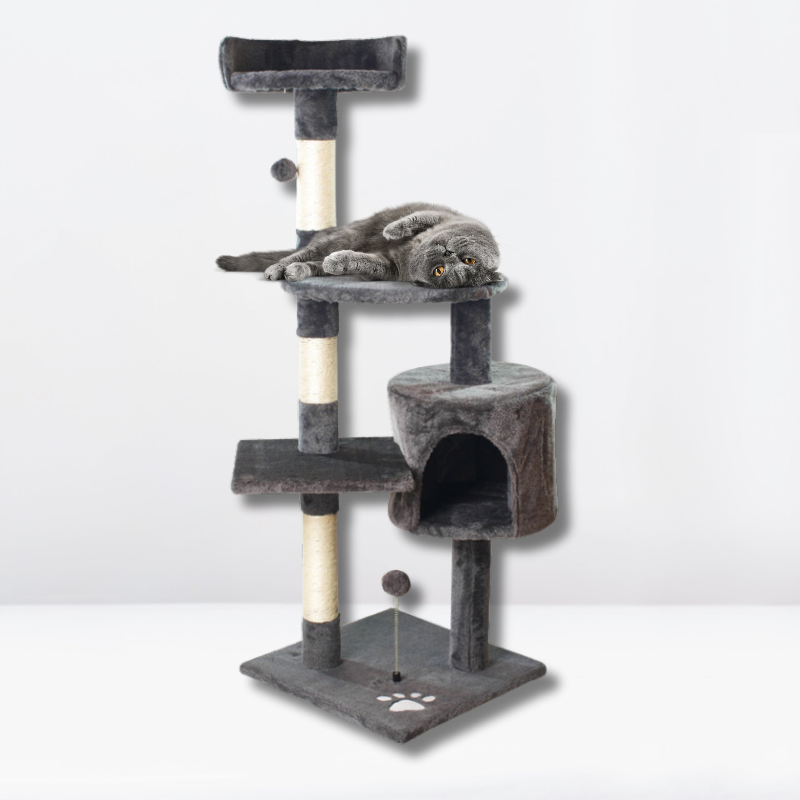 Cat scratcher poles couch bed cat house 116cm the zoo graphite Brand The Zoo
