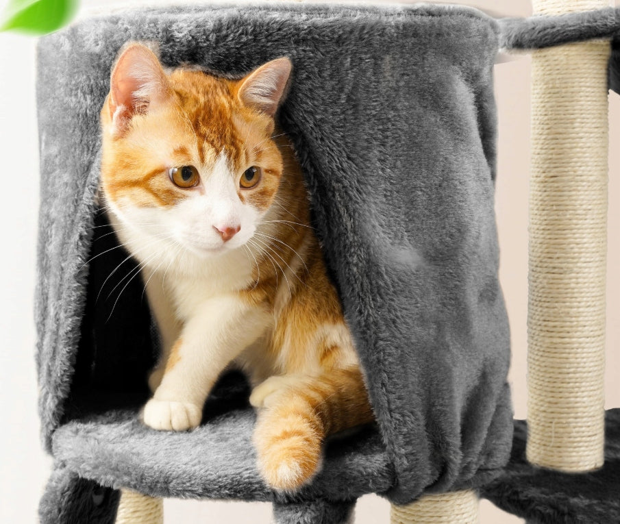 Cat scratcher poles couch bed cat house 138cm the zoo graphite Brand The Zoo